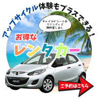 rentacar-banner1